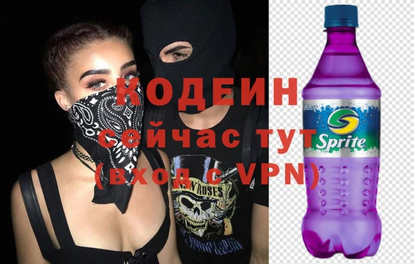 спиды Краснослободск