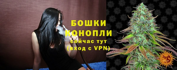 спиды Краснослободск